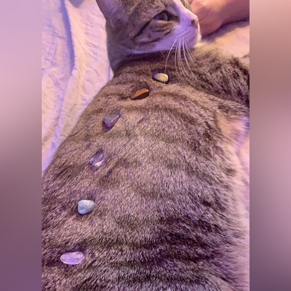 abigailems